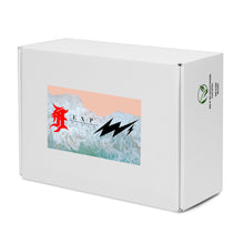 Load image into Gallery viewer, MIAMI BEACH 1 Men’s high top canvas shoes