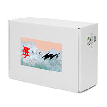 Load image into Gallery viewer, MIAMI BEACH 1 Men’s high top canvas shoes