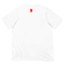 Load image into Gallery viewer, WINGS of PANTHEON t-shirt