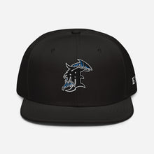 Load image into Gallery viewer, DARK CITY SHARKS Snapback Hat
