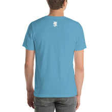 Load image into Gallery viewer, THE EXPERIENCE: TOUR t-shirt
